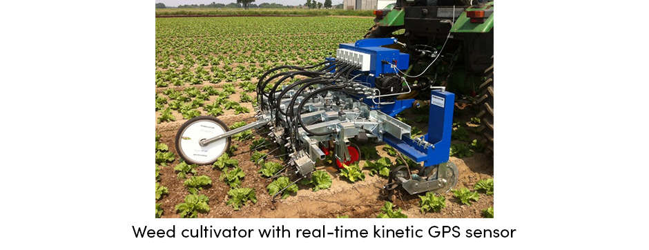 Kiểm soát cỏ dại bằng cuốc chính xác