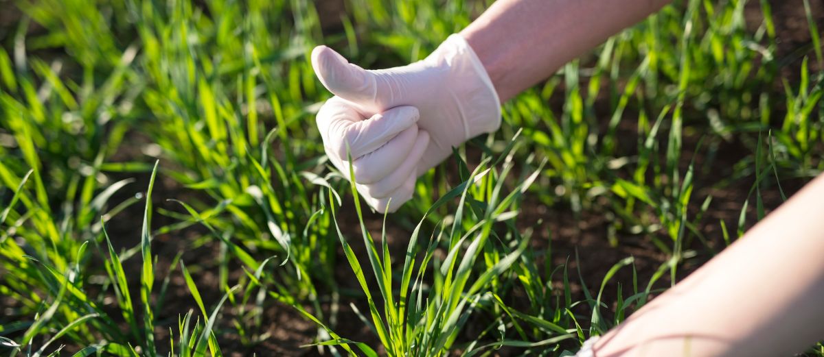 Nông nghiệp bền vững: Sử dụng phần mềm quản lý trang trại để giảm tác động tiêu cực đến môi trường