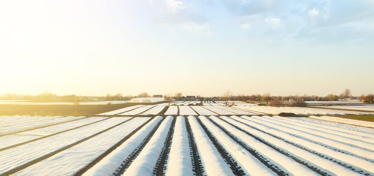 Theo dõi chi phí trang trại: Quy mô sản xuất và giảm chi phí với phần mềm quản lý trang trại
