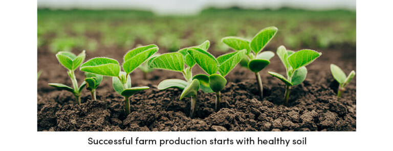 Tầm quan trọng của phân tích đất trong nông nghiệp