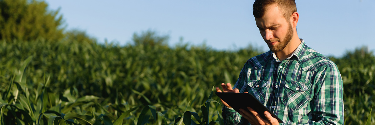 Tăng năng suất trang trại thông qua các giải pháp AgTech