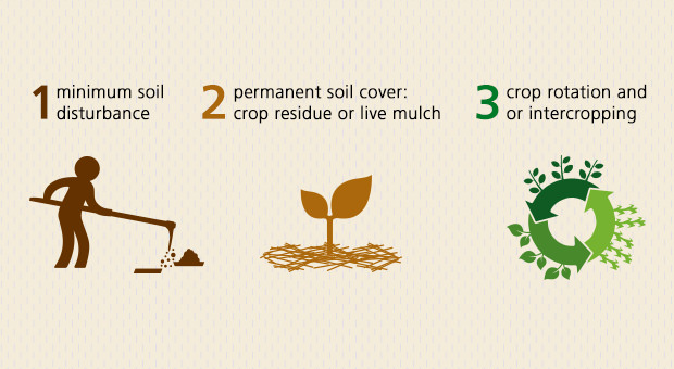 bảo tồn nông nghiệp