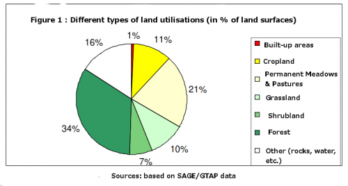 Cơ sở cây trồng vĩnh viễn
