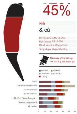 Bao nhiêu thực phẩm bị lãng phí hàng năm?