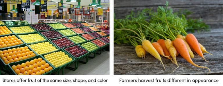 3 quyết định quan trọng để triển khai phần mềm quản lý trang trại thành công