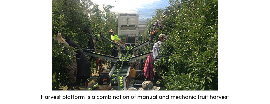 Các giải pháp AgTech hiện tại đã sẵn sàng để đáp ứng những thách thức của người trồng cây ăn quả chưa?