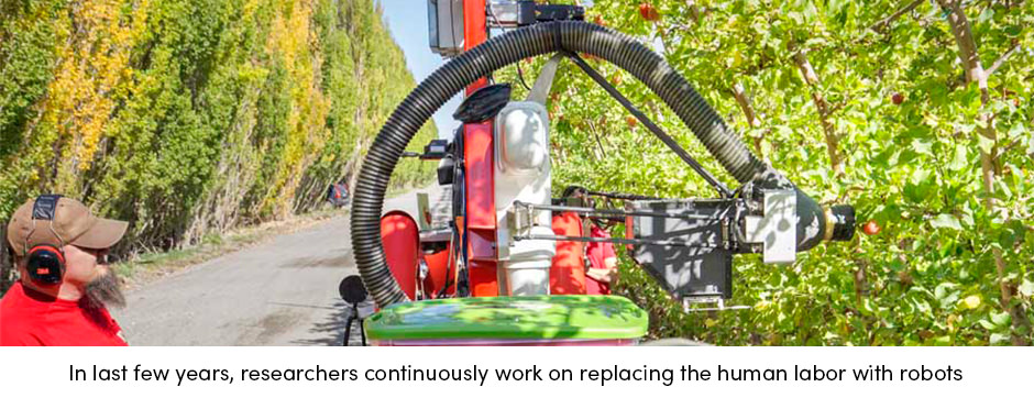 Các giải pháp AgTech hiện tại đã sẵn sàng để đáp ứng những thách thức của người trồng cây ăn quả chưa?