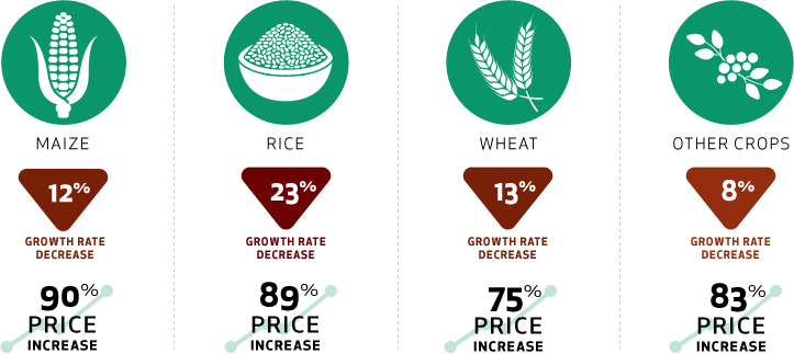 Nông nghiệp bền vững đến năm 2030 – Tác động đến khí hậu