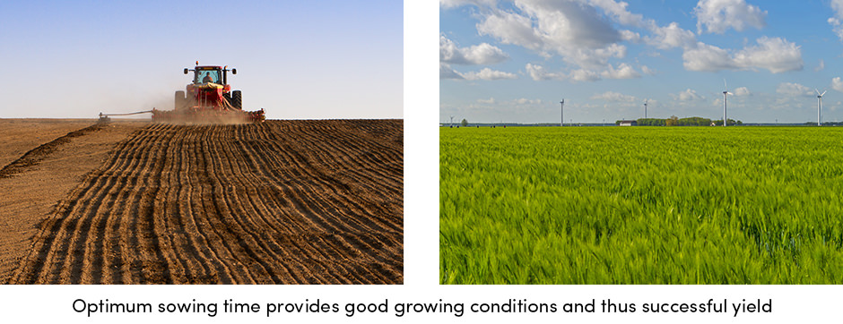 Quản lý trang trại: Tầm quan trọng của quản lý hàng tồn kho