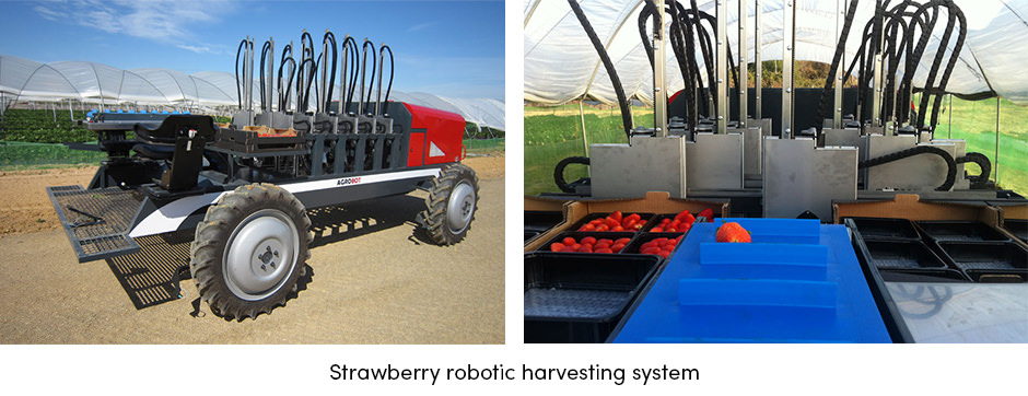 Các giải pháp AgTech hiện tại đã sẵn sàng để đáp ứng những thách thức của người trồng cây ăn quả chưa?