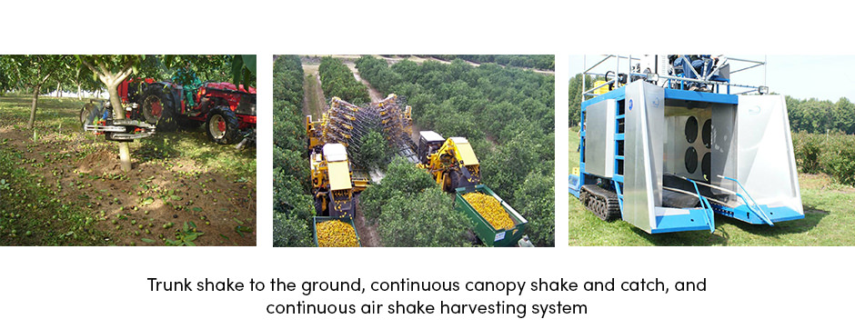 Các giải pháp AgTech hiện tại đã sẵn sàng để đáp ứng những thách thức của người trồng cây ăn quả chưa?