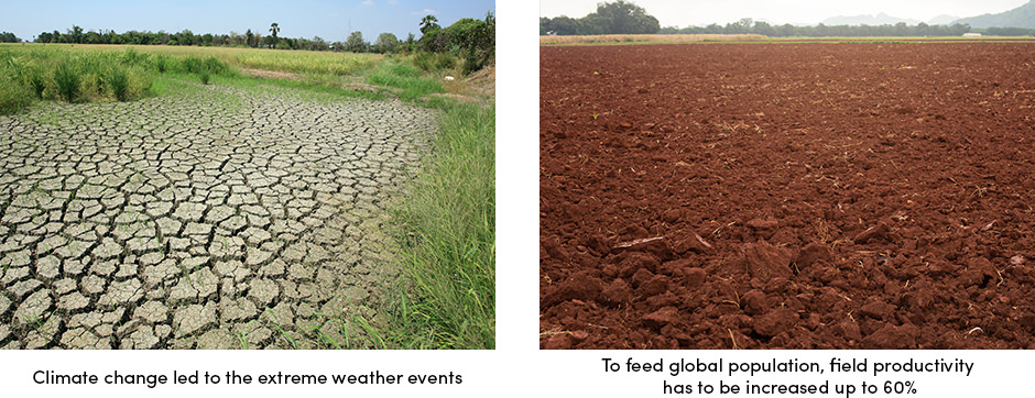 Giải pháp chìa khóa trao tay cho nông nghiệp kỹ thuật số