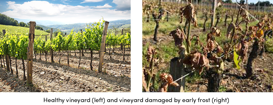 Giải pháp chìa khóa trao tay cho nông nghiệp kỹ thuật số