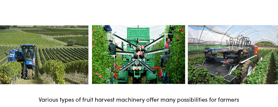 Các giải pháp AgTech hiện tại đã sẵn sàng để đáp ứng những thách thức của người trồng cây ăn quả chưa?