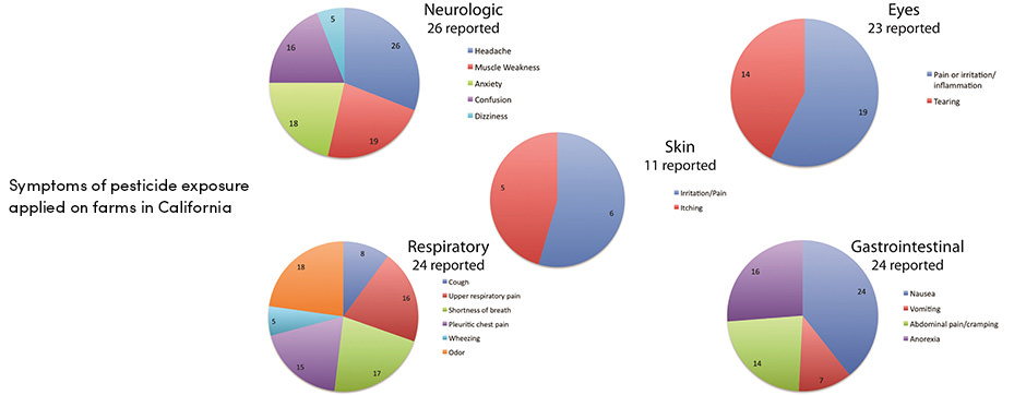The Dirty Dozen – Thực phẩm bạn nên luôn mua hữu cơ