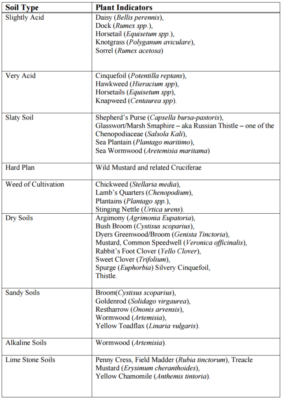 Cỏ dại như các chỉ số đất