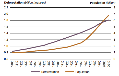 Tăng sản xuất lương thực là có thể mà không phá rừng
