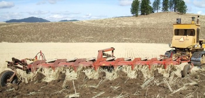 Quản lý dư lượng thực vật