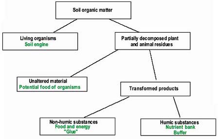 Thâm canh so với mùn trong đất