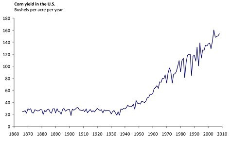 Tại sao trồng ngô?