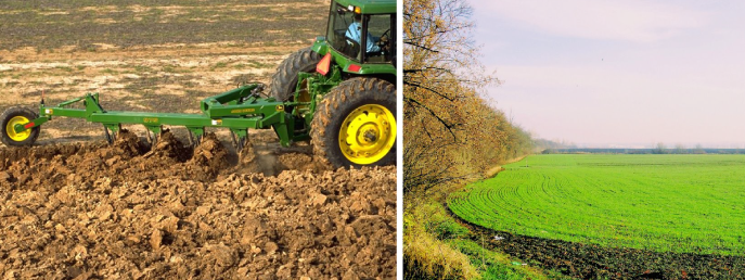 Quản lý đất cho sản xuất cây trồng