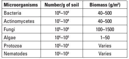 Vi khuẩn ăn, do đó chúng ta ăn