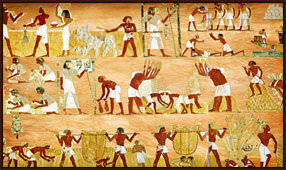 Những thách thức và giải pháp sản xuất trang trại