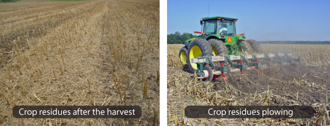 Thực hành Tốt nhất để Sử dụng Dư lượng Thực vật