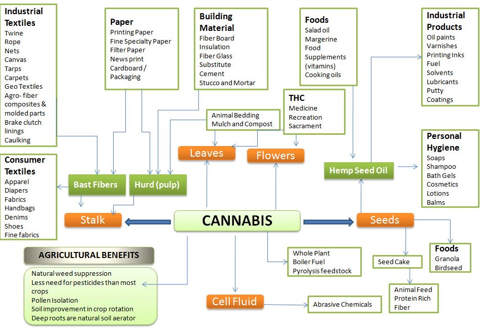 Quản lý trang trại gai dầu với hệ thống AGRIVI