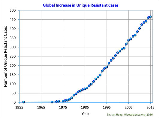 Cuộc chiến lâu dài của nông dân và cỏ dại kháng thuốc diệt cỏ