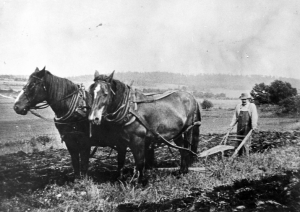 Những thách thức và giải pháp sản xuất trang trại