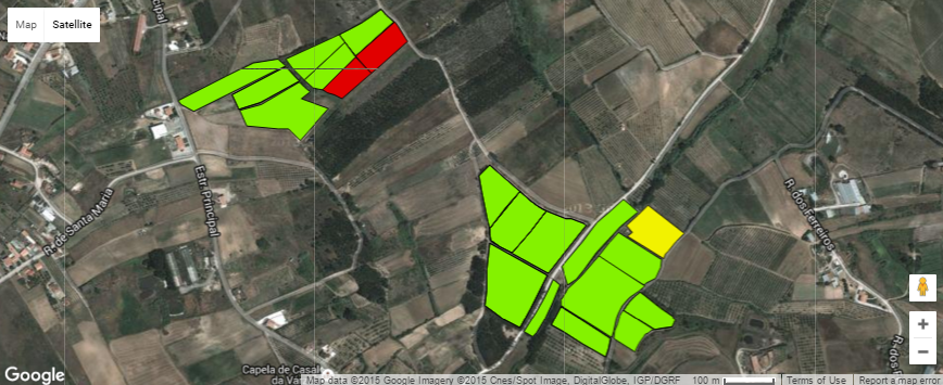 Phân tích trường chính xác trong lòng bàn tay của bạn