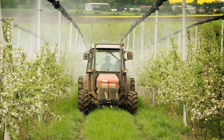 Quản lý trang trại của bạn đúng cách với phần mềm AGRIVI