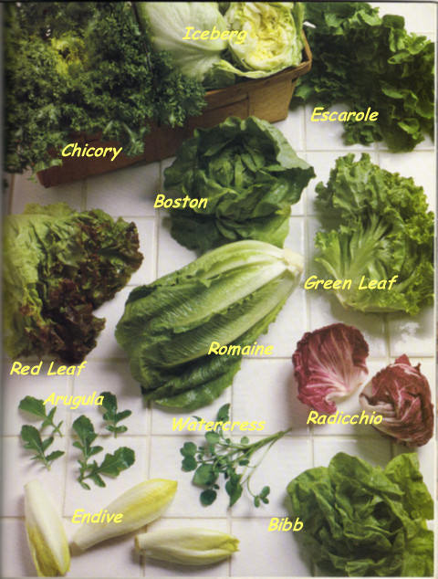 Xà lách – cô bé lọ lem cỏ dại