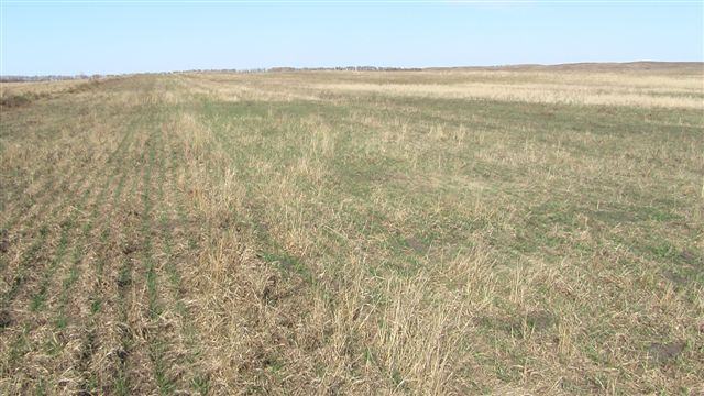 Nông dân- Người quản lý đất đai