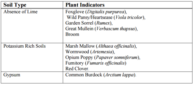 Cỏ dại như các chỉ số đất