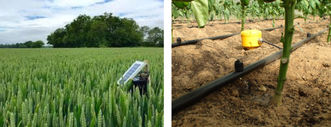 Tuân thủ Thực hành Canh tác Tốt với Hệ thống Quản lý Trang trại AGRIVI