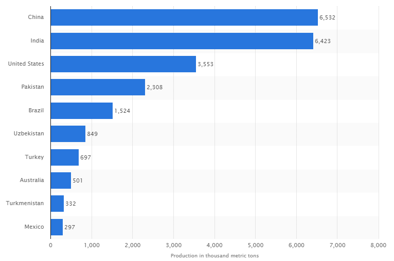 Trồng bông trong hợp tác xã