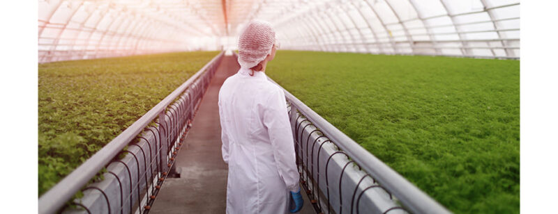 10 Bước Triển Khai Phần Mềm Quản Lý Trang Trại Thành Công