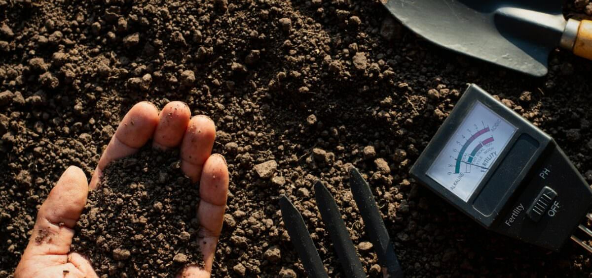 Tăng năng suất trang trại thông qua các giải pháp AgTech