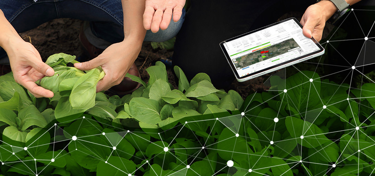 10 lý do tại sao nông dân nên số hóa sản xuất của họ
