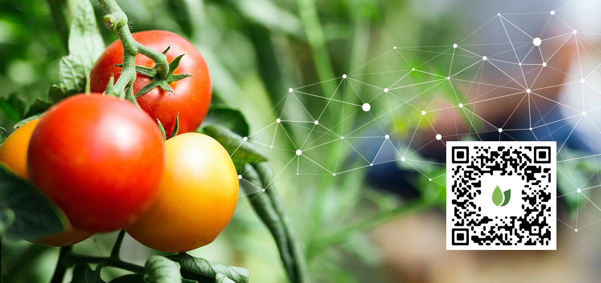 10 lý do tại sao nông dân nên số hóa sản xuất của họ