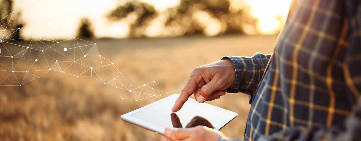 Dự báo thời tiết như một đồng minh của nông dân trong việc lập kế hoạch cho các hoạt động thực địa