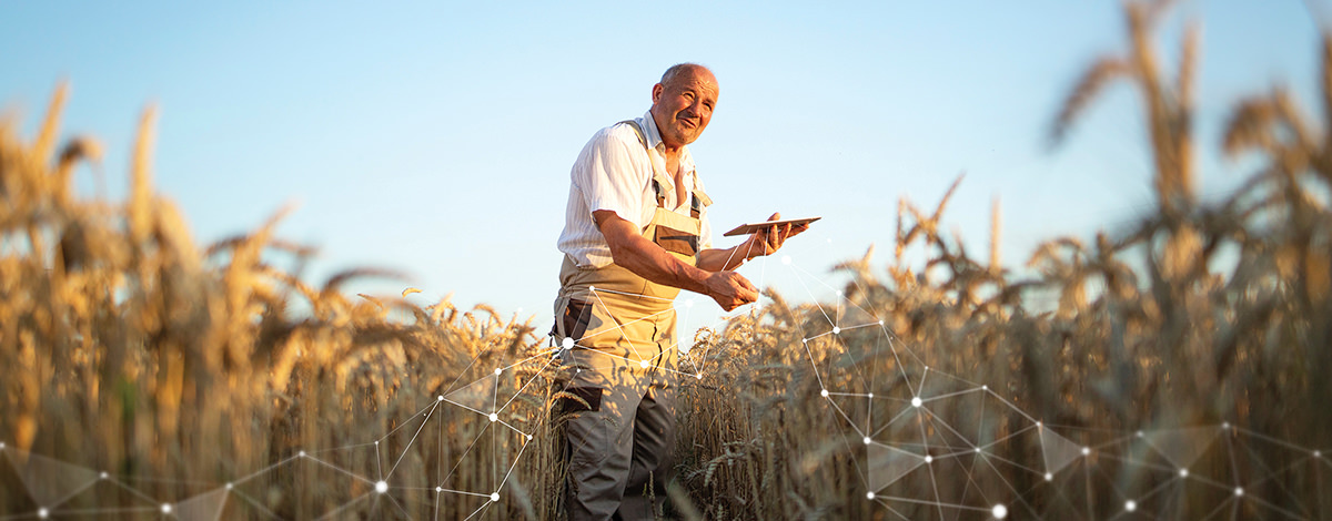 Dự báo thời tiết như một đồng minh của nông dân trong việc lập kế hoạch cho các hoạt động thực địa