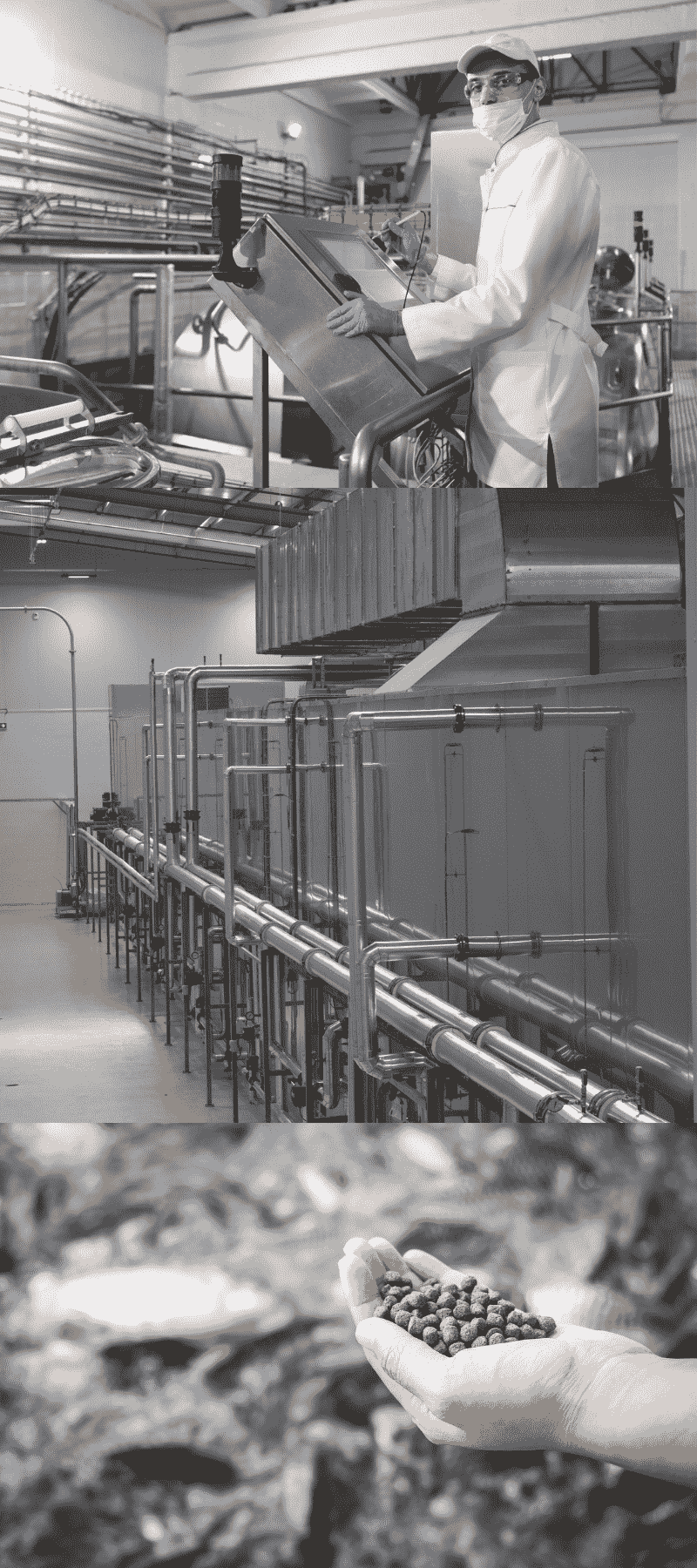 Cung cấp dây chuyền thiết bị