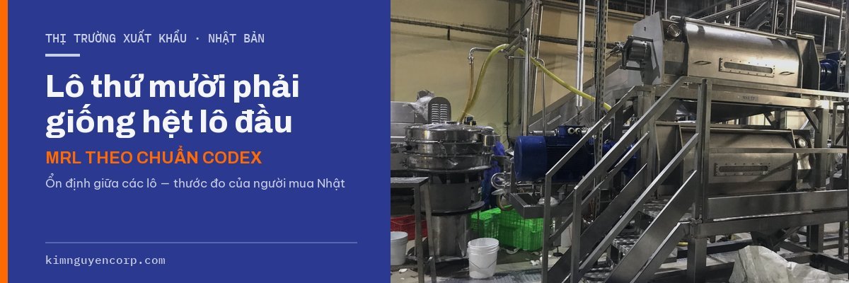 Cụm máy ép tách dịch trái cây — xuất khẩu sang Nhật đòi ổn định giữa các lô