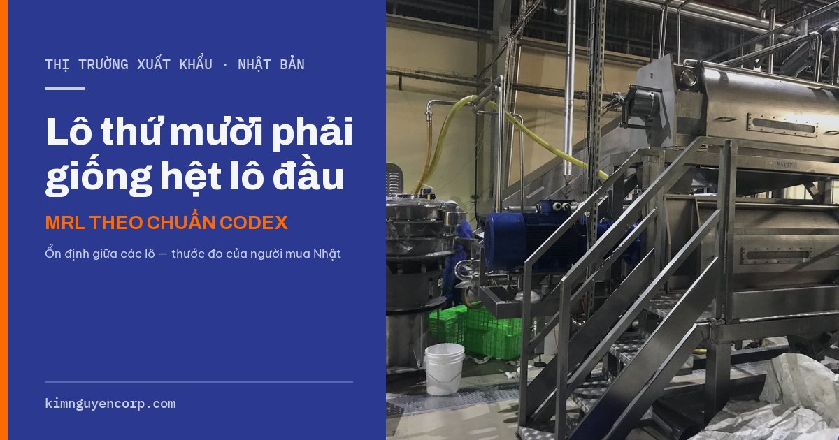 Cụm máy ép tách dịch trái cây — xuất khẩu sang Nhật đòi ổn định giữa các lô