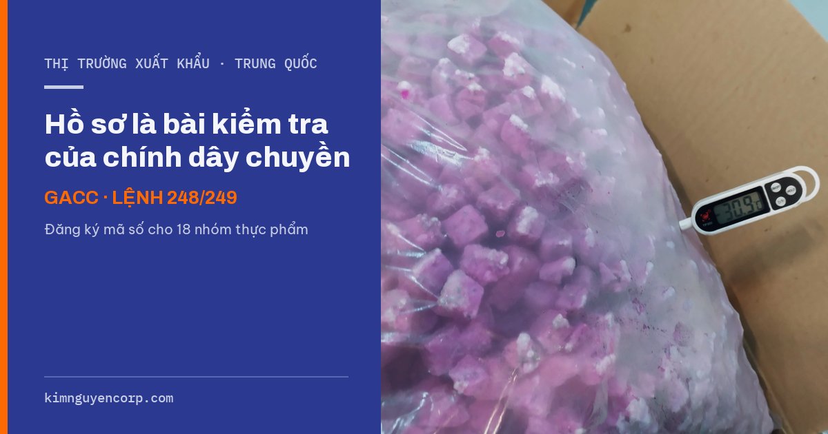 Thanh long đông lạnh IQF -30 độ C — xuất khẩu sang Trung Quốc theo mã số GACC