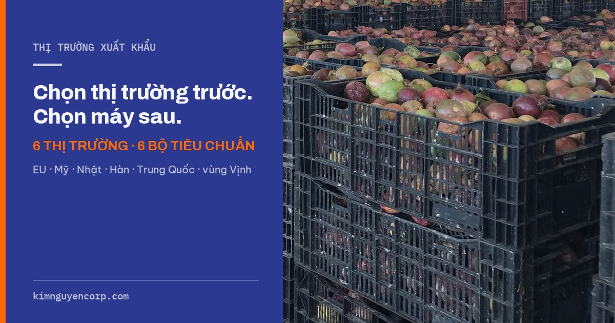Kết chanh dây tươi tại nhà máy chế biến — sáu thị trường xuất khẩu, sáu bộ tiêu chuẩn
