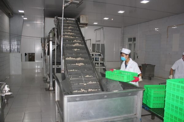nhà máy chế biến rau quả